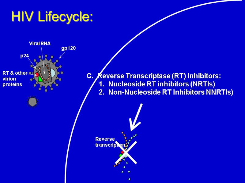 HIV Lifecycle: C.  Reverse Transcriptase (RT) Inhibitors:  1.  Nucleoside RT inhibitors